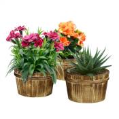 Pot de fleurs en lot de 3, en bois, pour plantation