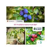 Kit Fruitiers nains Fruit Me ® - lot de 3 variétés
