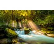 Affiche paysage cascade en forêt - 60x40cm - made in France - Vert