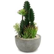 Northix - Arrangement de cactus dans un pot en céramique