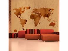 Papier peint tea map of the world l 300 x h 231 cm A1-XXLFTNT0443