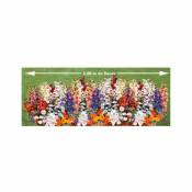 Tapis de fleurs parfumées en mélange - Le tapis de graines: 21 cm x 3,50 m(+/- 4 g) - Willemse