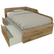 1264C - Canapé-lit de forme simple 120x190 avec tiroirs amovibles et indépendants - chêne - chêne