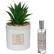 Coffret Senteur Cactus Plante décorative et son spray