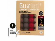 Guirlande boule lumineuse 24 led voice control - acajou