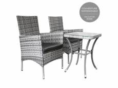 Jardí set mobilier bistro luxe 3 pièces rotin table verre trempé chaises confortable terrasse jardin salon de jardin gris clair 27121