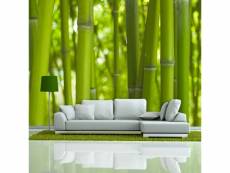 Papier peint bambou vert A1-XXLFTNT0132