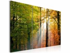 Tableau forêt d'automne taille 90 x 60 cm PD10057-90-60