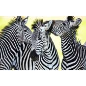 Affiche trio de zebre - 60x40cm - made in France -