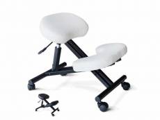 Chaise orthopédique suédoise en métal siège ergonomique