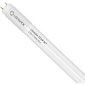 Ledvance Tube LED T8 Performance (HF) Ultra Output 23W 3700lm - 865 Lumière du Jour 150cm - Équivalent 58W