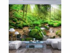 Papier peint intissé paysages humid forest taille 250 x 175 cm PD14351-250-175