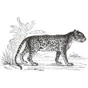 Sticker plat Leopard 125x78cm Atmosphera créateur d'intérieur - Noir et blanc