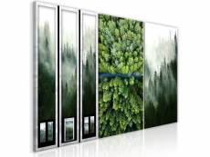 Tableau forest (collection) taille 120 x 60 cm PD10246-120-60