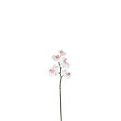 Tige d'orchidée phalaenopsis artificielle blanche H45