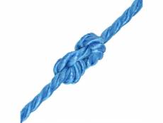 Vidaxl corde torsadée polypropylène 14 mm 250 m bleu