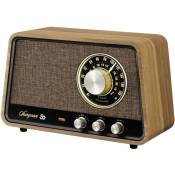 Sangean - Premium Wooden Cabinet WR-101 Radio de table am, fm Bluetooth, aux, fm noix V925313