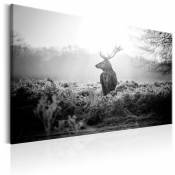 Artgeist - Tableau cerf noir et blanc - 90 x 60 cm