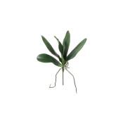 Piquet de feuilles d'orchidée artificielles vertes H20