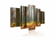 Tableau - un joli paysage de forêt-100x50 A1-N1572