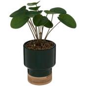 Atmosphera - Plante artificielle Le collectionneur en céramique & bambou H26cm vert foncé créateur d'intérieur - Vert foncé