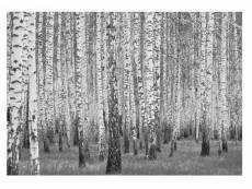 Papier peint intissé panoramique arbres noir et blanc forêt 368x254 cm chambre salon photo non tissé muraux trompe l'oei