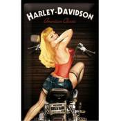 Plaque métal Harley Davidson