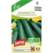Sanrival - Graines de courgette verte noire bio. .