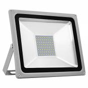 Viugreum® Projecteur LED 50W, Spot LED Extérieur