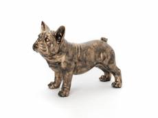 Bulldog yuki or 90 cm