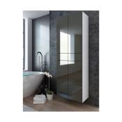 Colonne Pureza 60 cm - Gris Laqué/BM salle de bain suspendue ou posée
