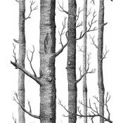 Ensoleille - Papier peint 3d bouleau simple bois noir