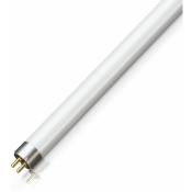 Philips - Lampe actinique bl 15W/10 fam