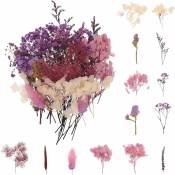 Serbia - Violet) Bouquet de fleurs séchées naturs Décoration de fleurs pressées pour le bricolage Décoration de fleurs en époxy Nail Art Bricolage