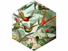Sticker mural oiseaux vert jungle tropicale - 159023