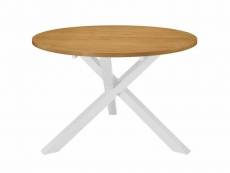 Table de salon salle à manger design blanc 120 cm mdf helloshop26 0902299