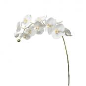 Tige d'orchidée phalaenopsis artificielle blanche H100
