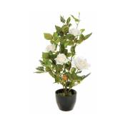 Plante artificielle décorative Rosier 50cm - Blanc