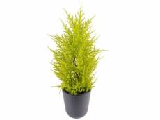 Plante artificielle / junipérus artificiel vert /jaune - dim : 55 x 15 cm -pegane-