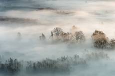 Tableau brouillard hivernal Tableau plexiglas 60x40cm