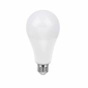 Ampoule LED GLS E27 GLS 22W=150W Blanc chaud