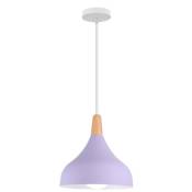 Lustre suspension créatif éclairage intérieur E27 lampe suspension restaurant cuisine (violet) - Violet