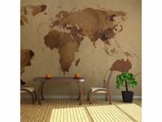 Paris prix - papier peint "tea map of the world ii" 450x270cm