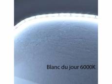 Ruban led blanc 60 led/m 4,8w/m ip20 1m - blanc du jour 6000k FL-2216-60-IP20-CW-1M