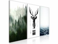 Tableau chilly nature (collection) taille 60 x 30 cm PD10244-60-30
