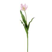 Tige de tulipe perroquet artificielle rose et verte H63