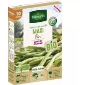 Vilmorin - Graines de Haricot vert sans fil maxi 10