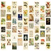 Kit de Collage Mural EsthéTique Vintage - 50 Mini Affiches D'Art Botanique Collage (4X6Pouces), pour Mur de Photos à la Mode