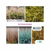 Leaderplantcom - Kit Collection Graminée - 5 variétés