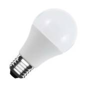 Ledbox - Ampoule led E27, A60, 10W, 12/24V ac/dc, blanc
